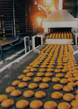 Food Processing Industry