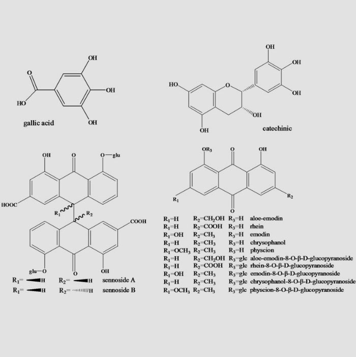 API Manufacturers in Japan– Cefa
